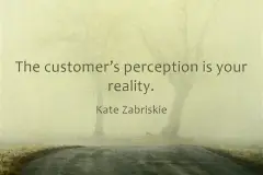 the-customers-perception