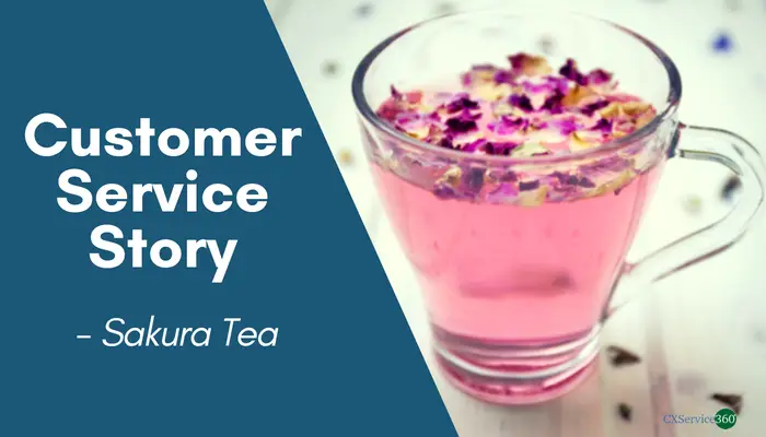 Japanese Customer Service Story